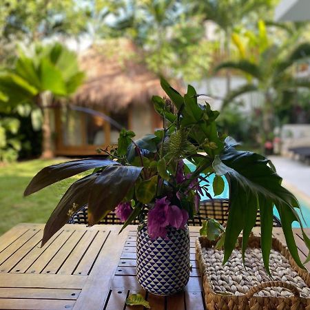 Luxury Private Villas , Private Pool, Private Garden, Jacuzzi, 24Hours Security Tulum Eksteriør billede