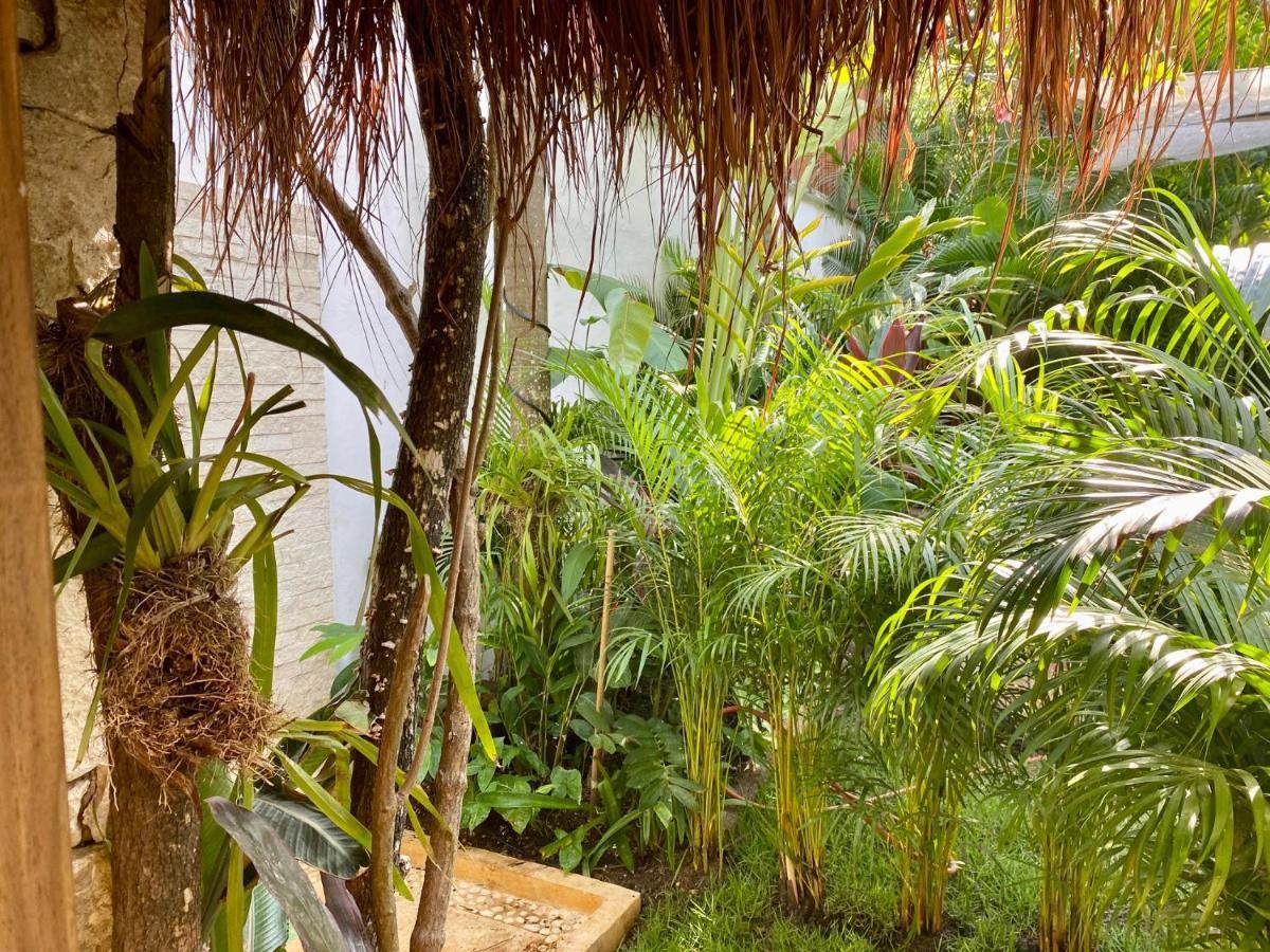 Luxury Private Villas , Private Pool, Private Garden, Jacuzzi, 24Hours Security Tulum Eksteriør billede