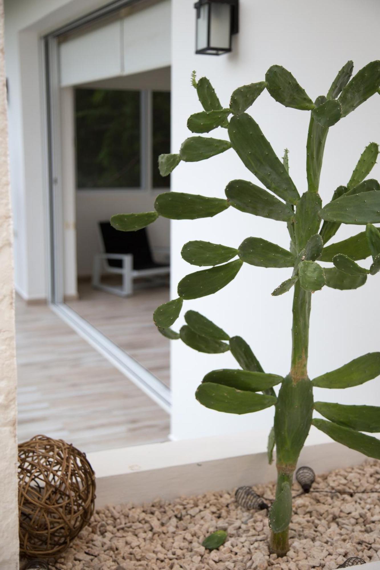 Luxury Private Villas , Private Pool, Private Garden, Jacuzzi, 24Hours Security Tulum Værelse billede